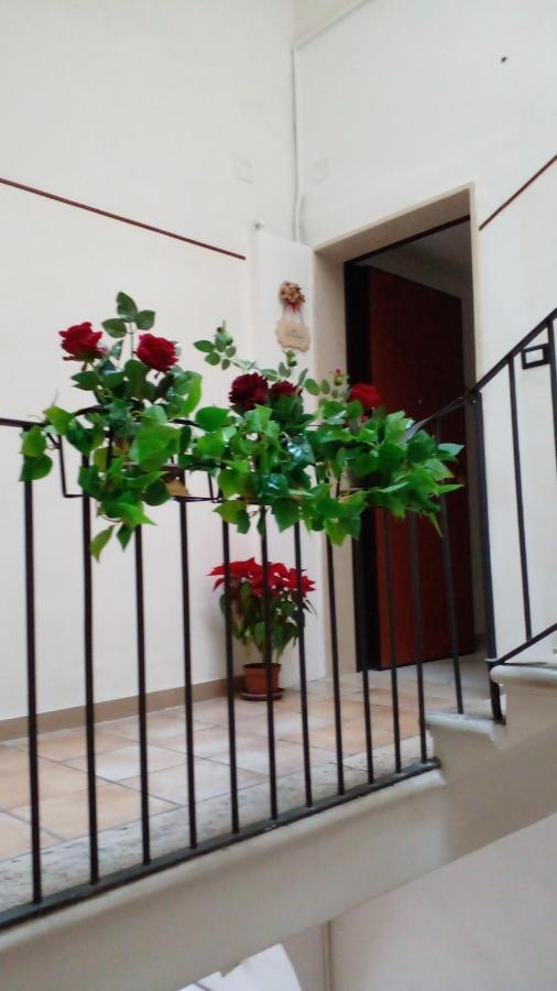 Pensión La Rosa Rossa *